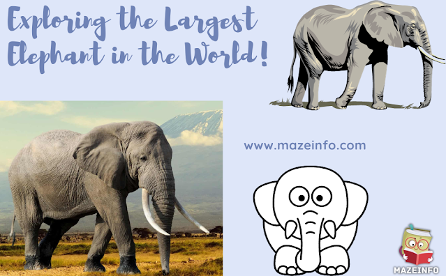 Exploring the largest elephant in the world