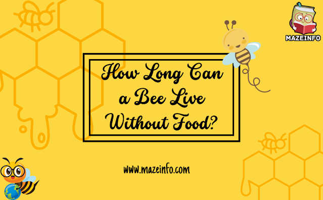 How long can a bee live without food?
