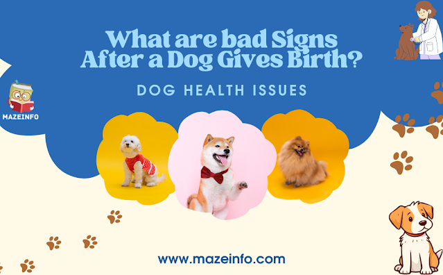What are bad signs after a dog gives birth?