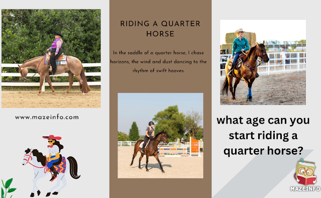 What age can you start riding a quarter horse?