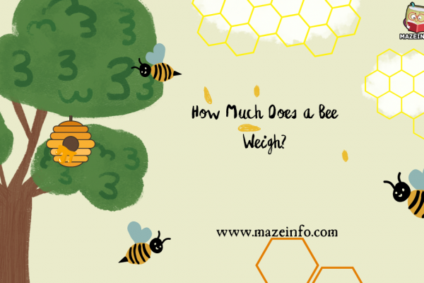 How much does a bee weigh?