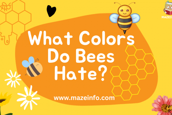 What colors do bees hate?