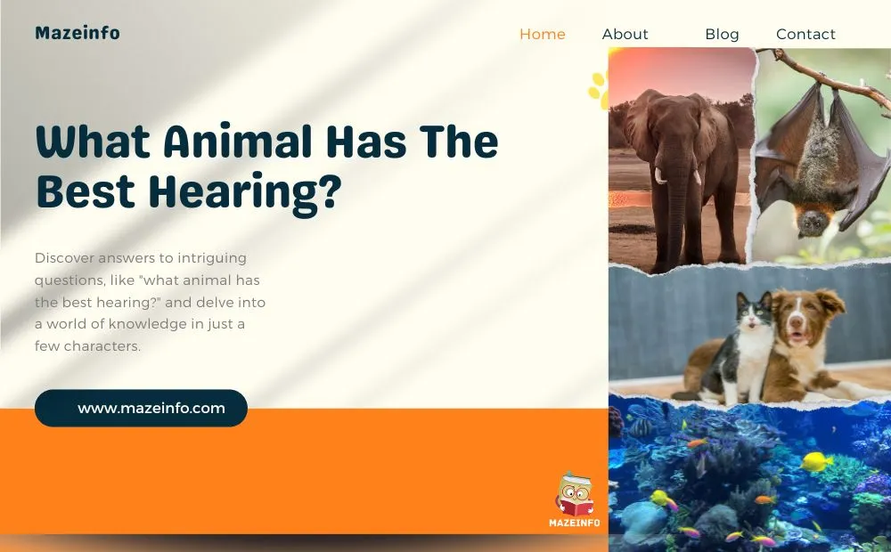 What animal has the best hearing?