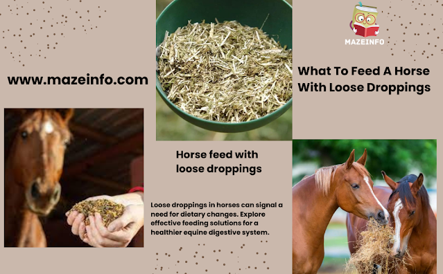 What to feed a horse with loose droppings