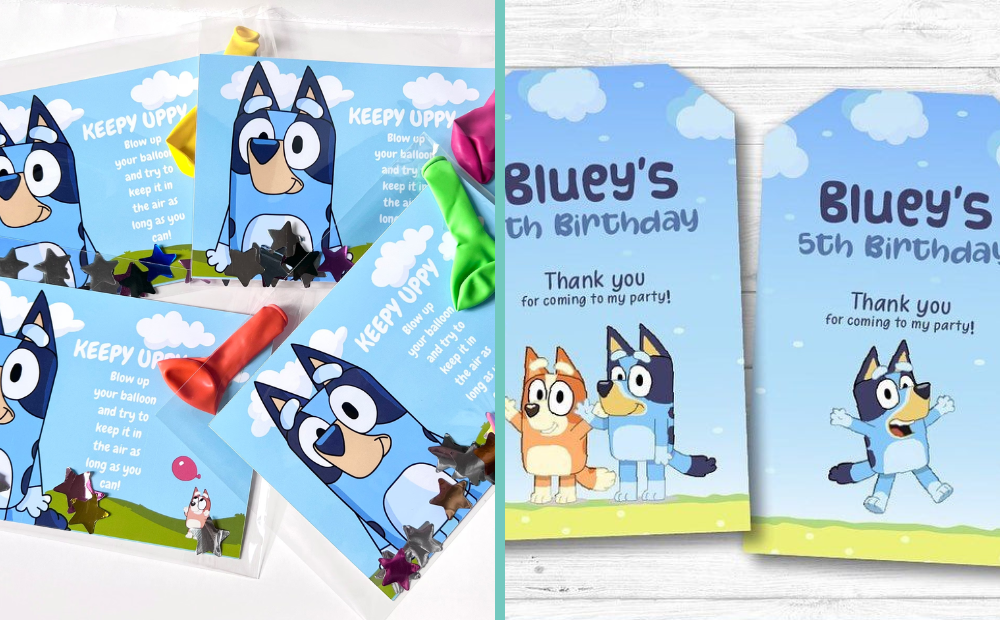 Bluey party favors