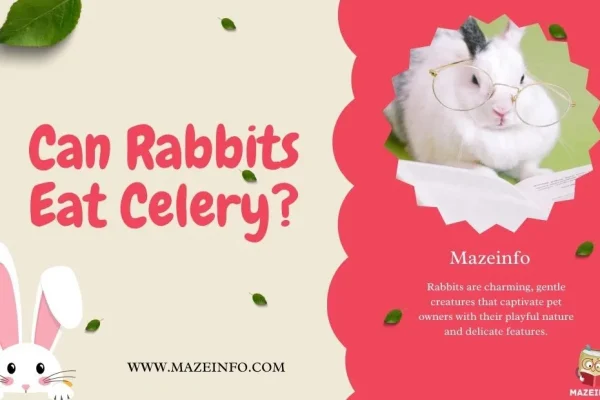 Can Rabbits Eat Celery?