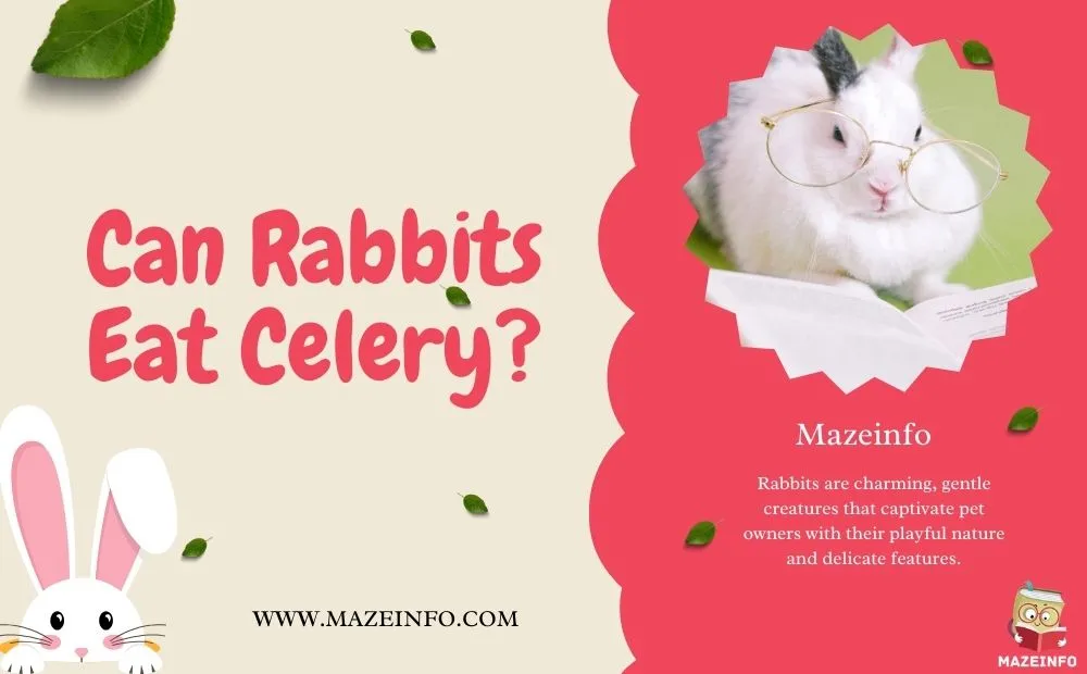 Can rabbits eat celery?
