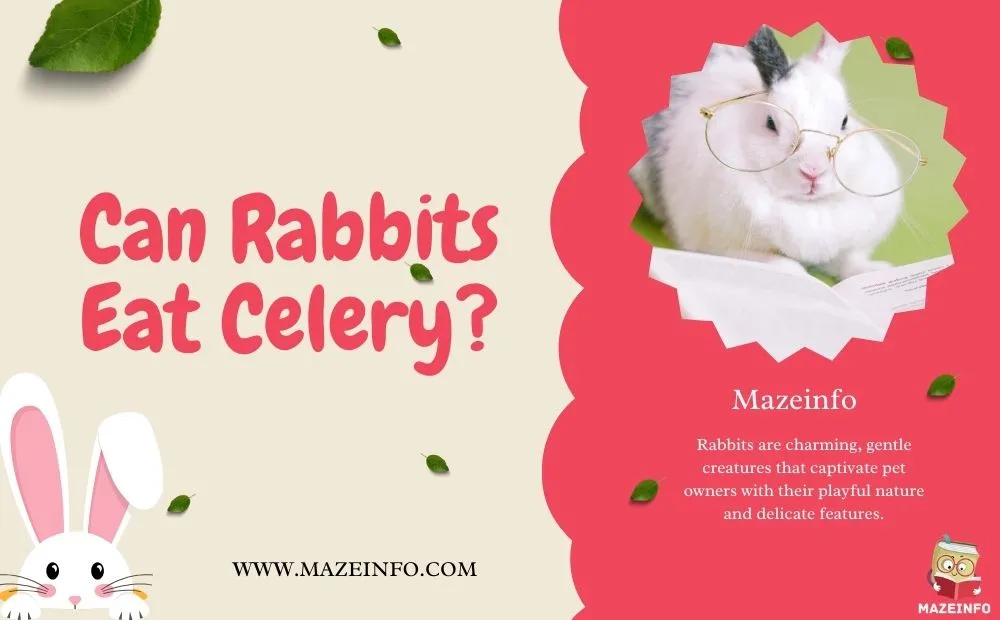 Can Rabbits Eat Celery?