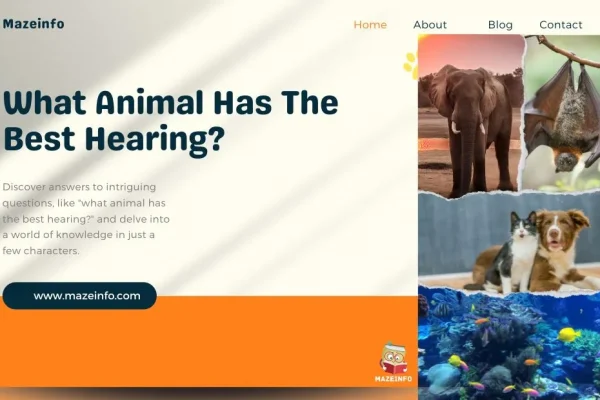 What animal has the best hearing?